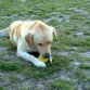 con mi pelota